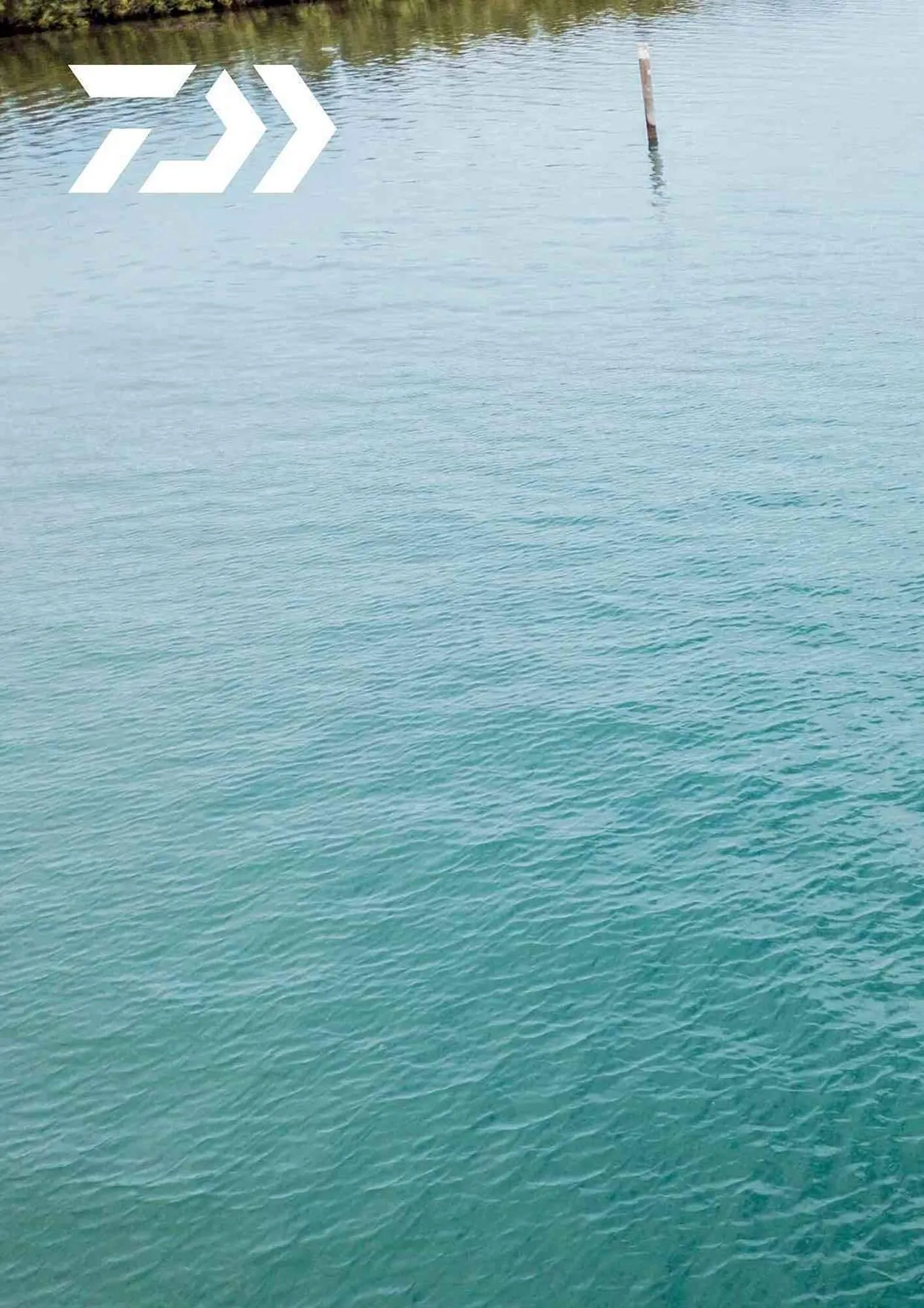 Volantino Daiwa da 4 febbraio a 31 dicembre di 2025 - Pagina del volantino 118