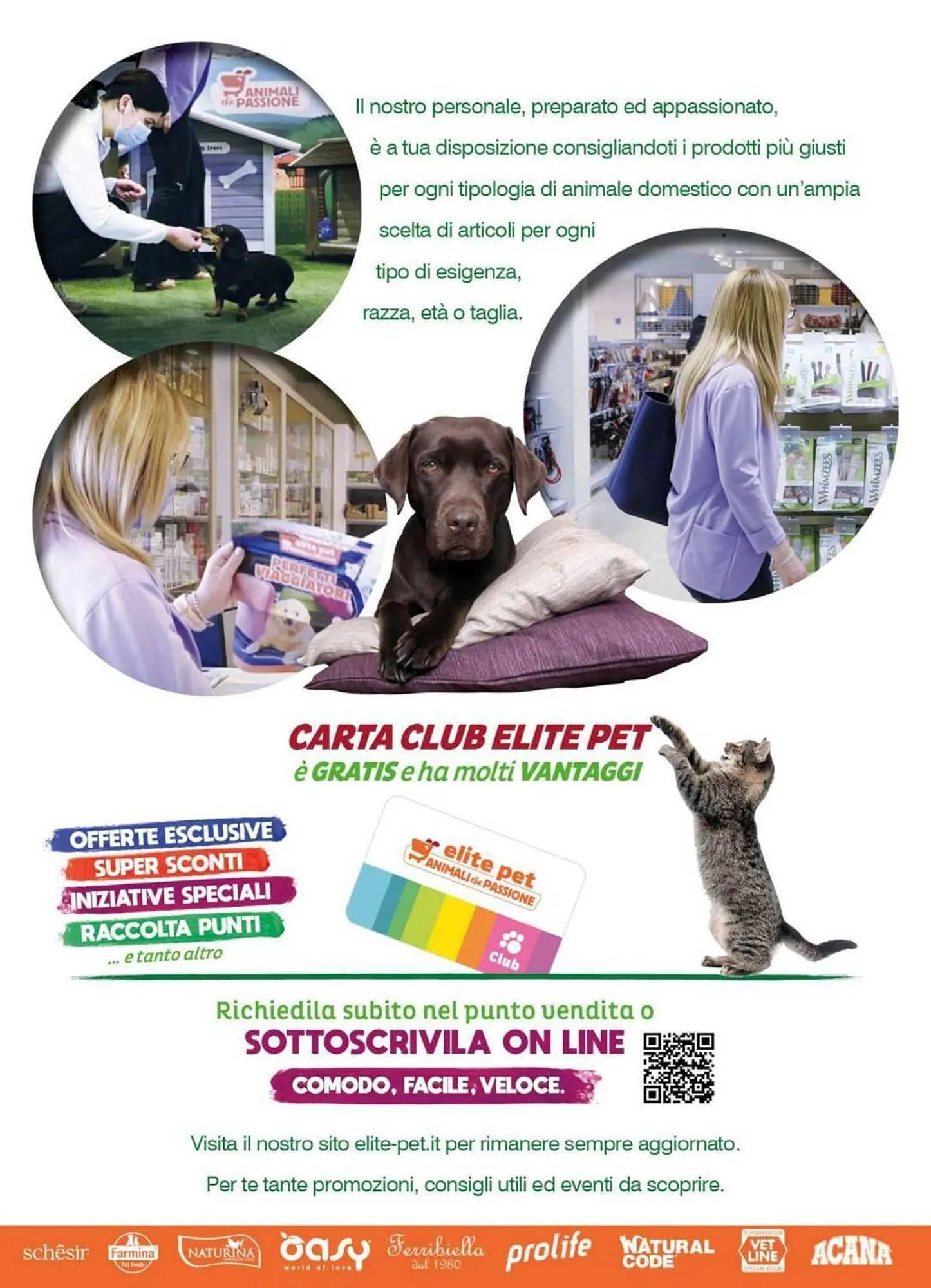Volantino Elite Pet da 22 settembre a 7 ottobre di 2025 - Pagina del volantino 3