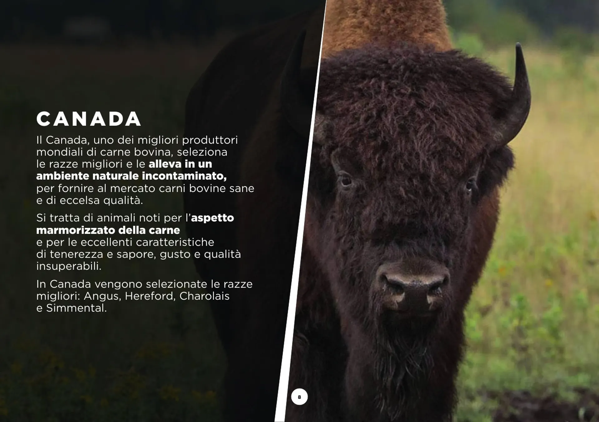 Volantino GrosMarket da 28 agosto a 30 marzo di 2025 - Pagina del volantino 8