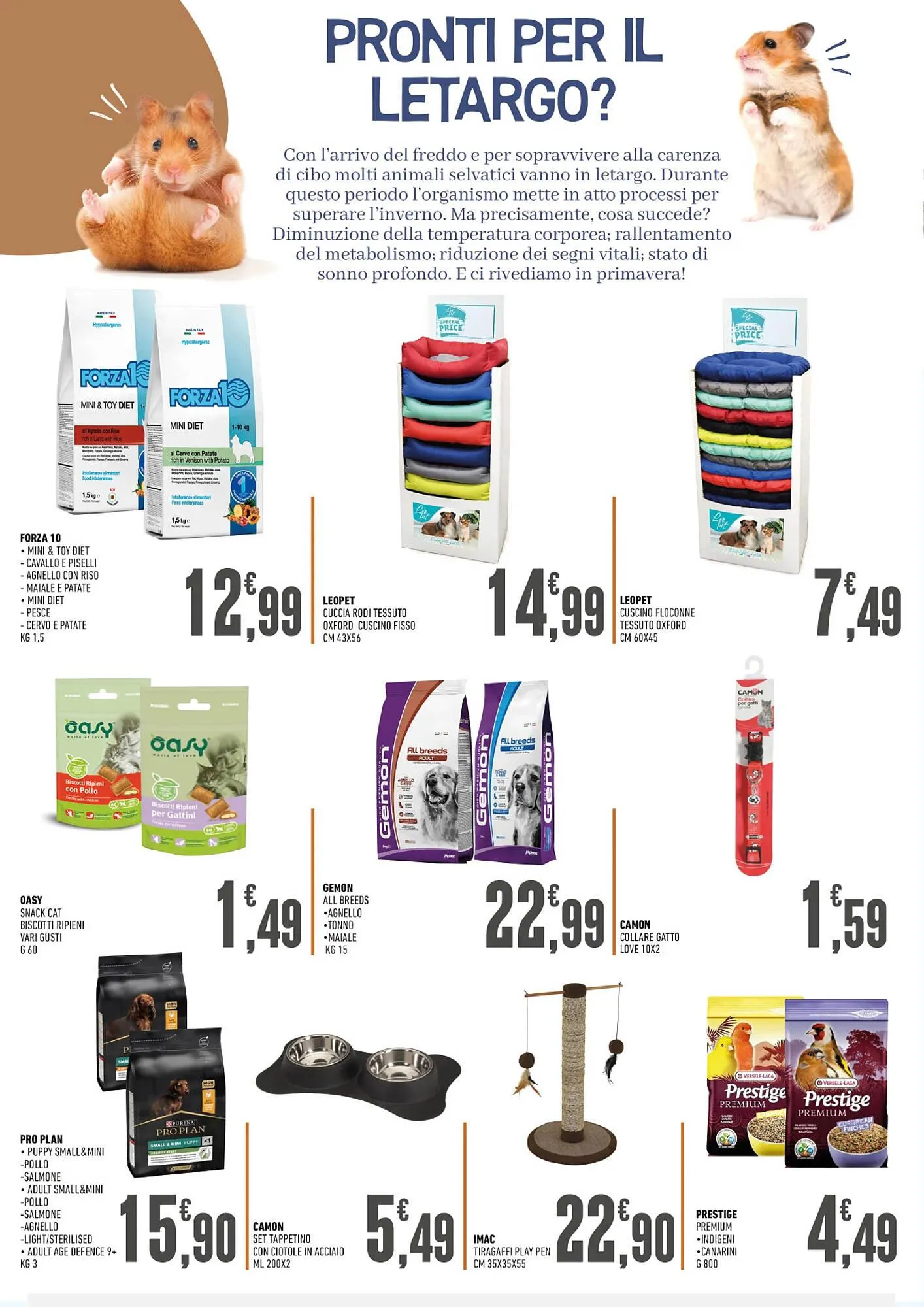 Volantino Ayoka da 7 ottobre a 26 ottobre di 2023 - Pagina del volantino 2