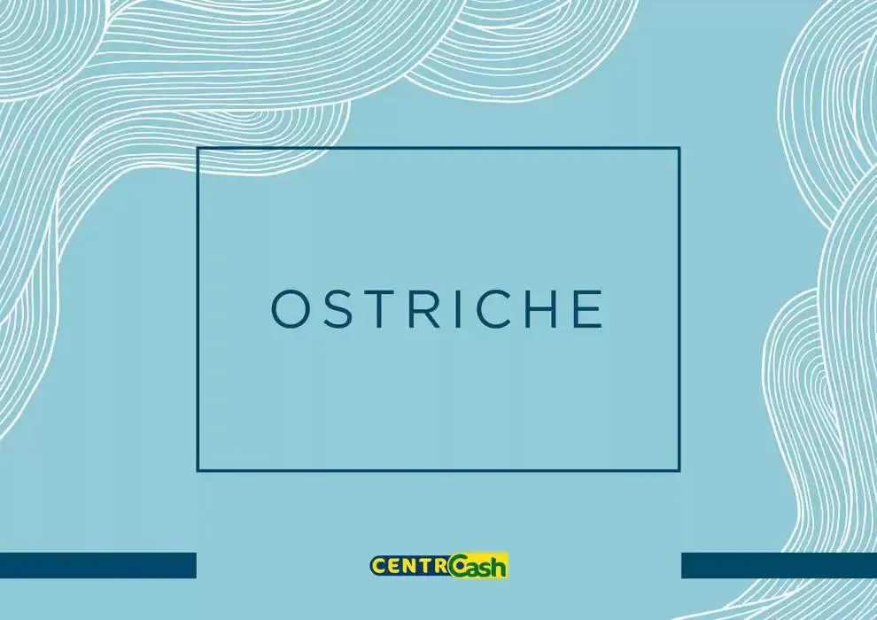 Centro Cash Ostriche da 4 dicembre a 31 gennaio di 2025 - Pagina del volantino 1