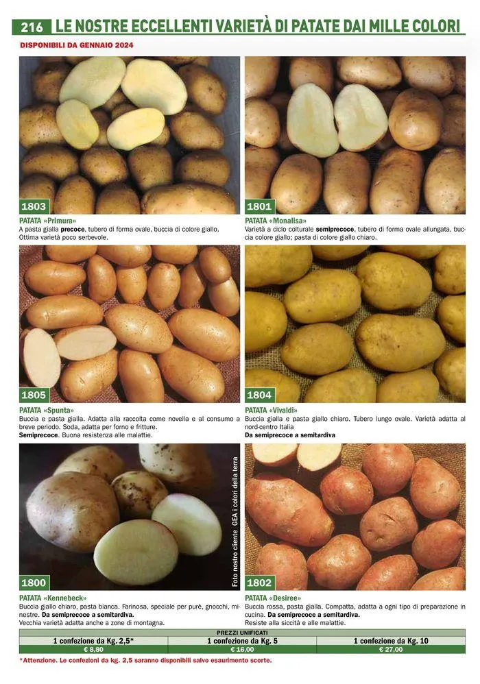 Catalogo guida 2024 da 25 marzo a 31 dicembre di 2024 - Pagina del volantino 218