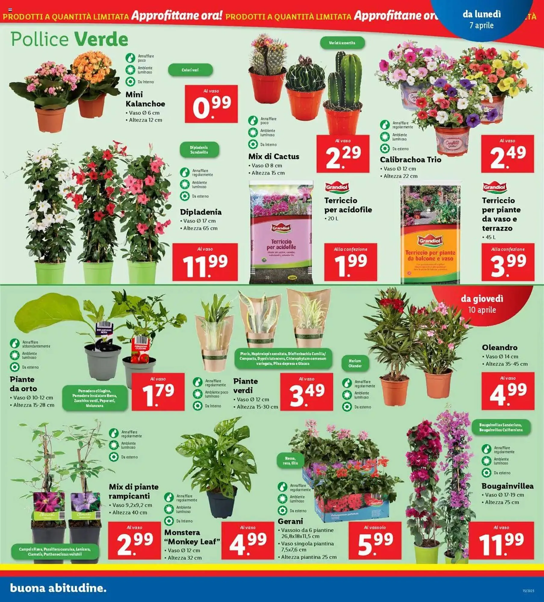 Volantino Lidl da 7 aprile a 13 aprile di 2025 - Pagina del volantino 35