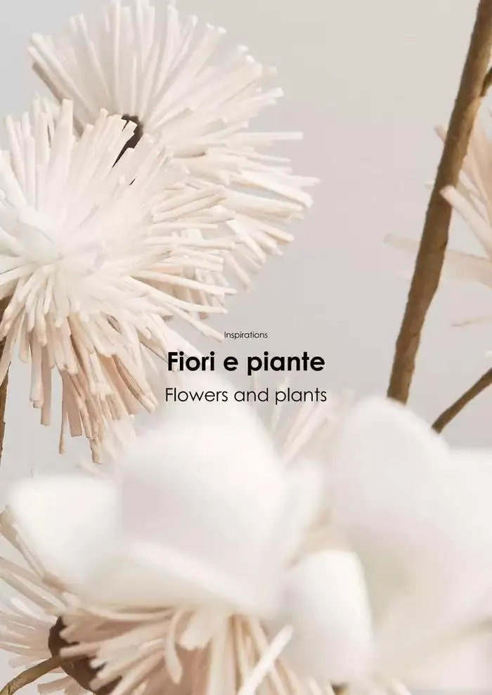 Home decor catalogue 2024/25 da 21 gennaio a 31 dicembre di 2025 - Pagina del volantino 137