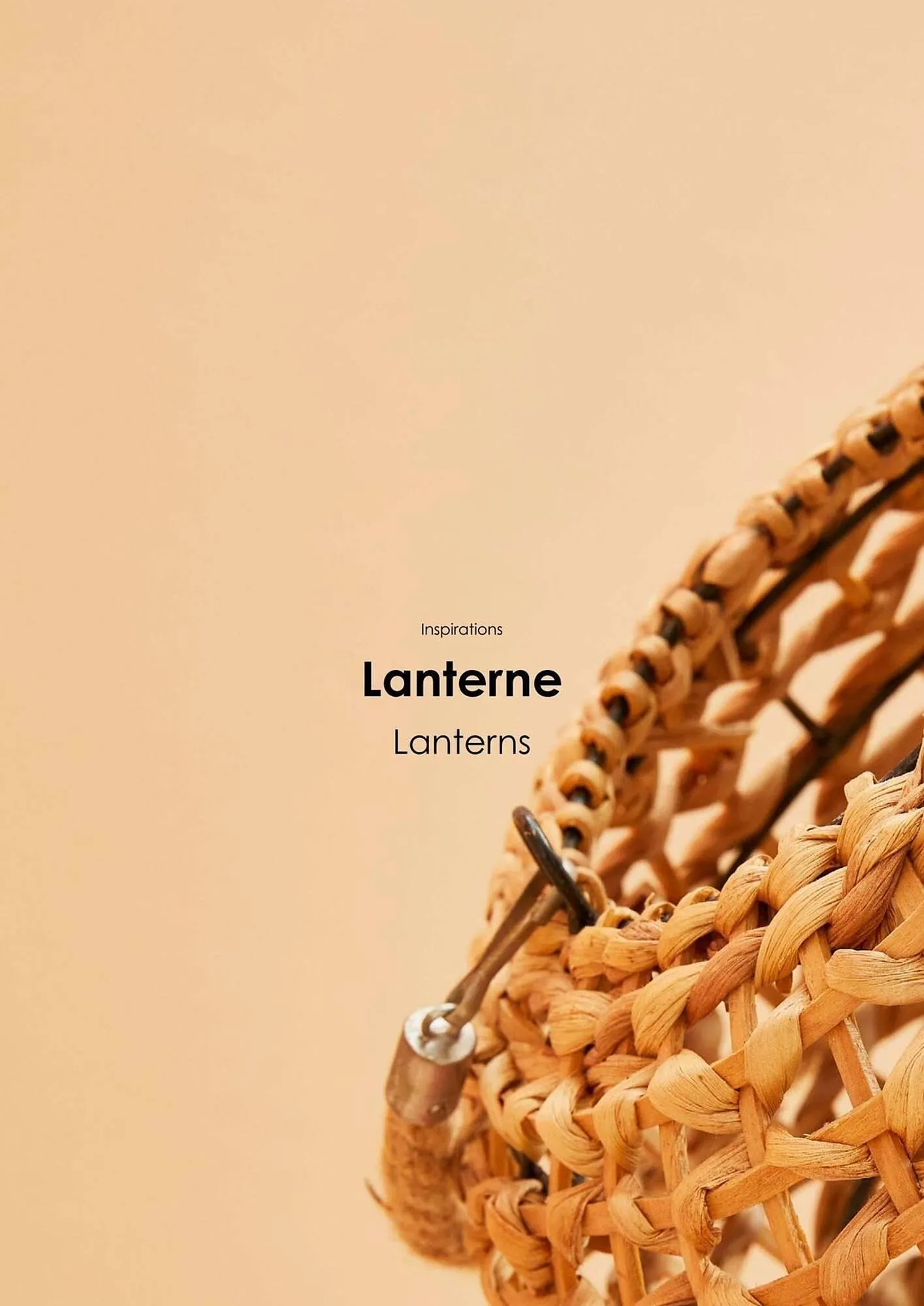 Volantino Bizzotto da 21 gennaio a 31 dicembre di 2025 - Pagina del volantino 73