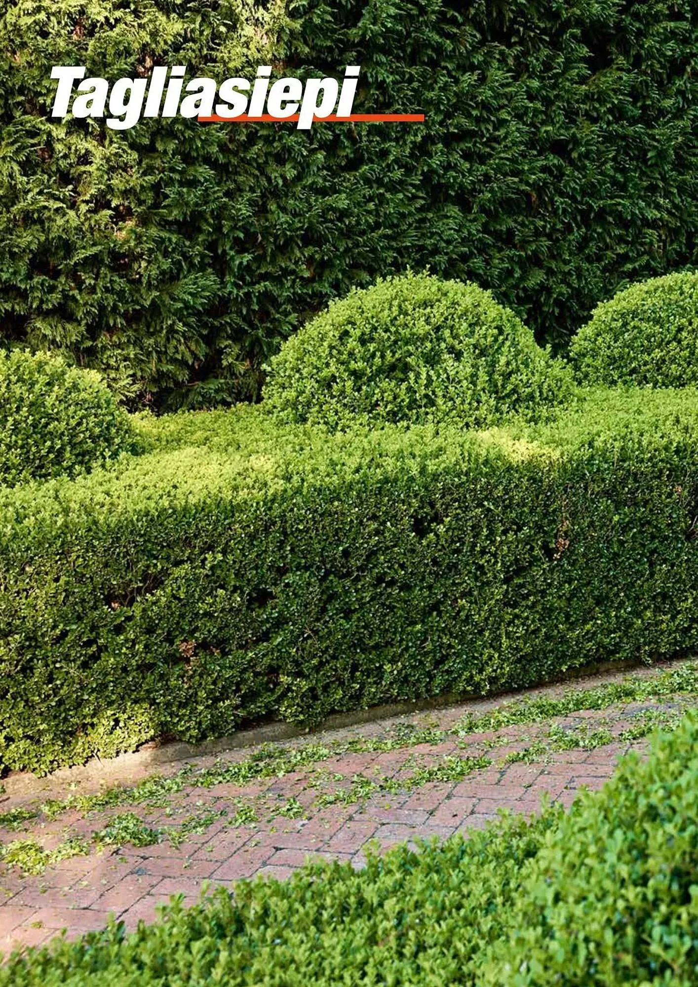 Volantino Echo da 17 febbraio a 31 dicembre di 2025 - Pagina del volantino 68