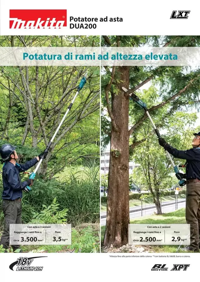 Potatura di rami ad altezza elevata - 1