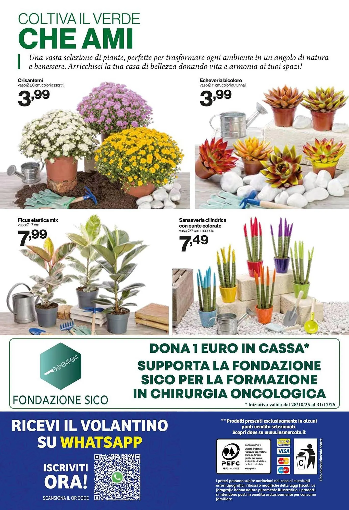 Volantino In'S Mercato da 22 ottobre a 2 novembre di 2025 - Pagina del volantino 13