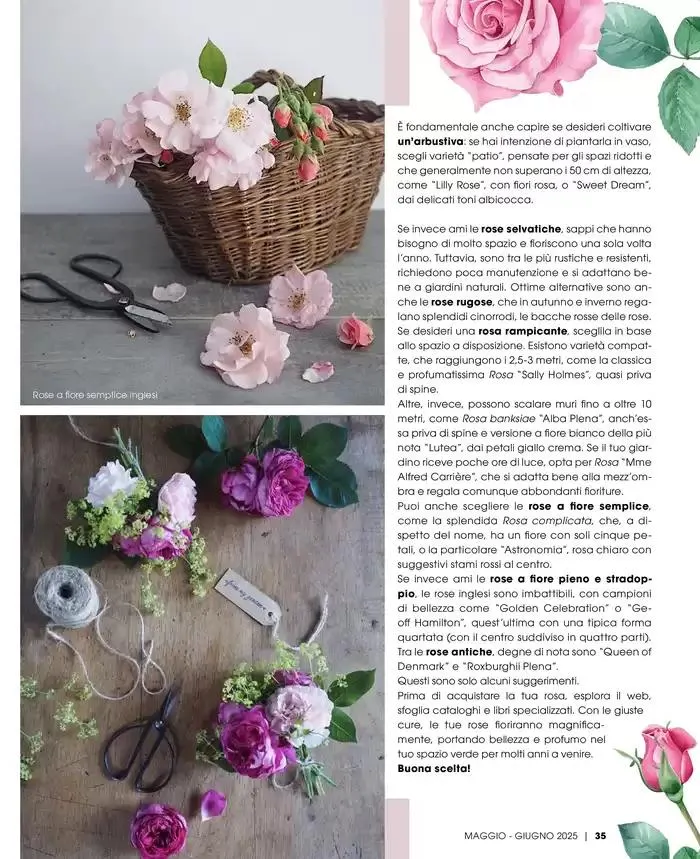 Catalogo A&O da 1 maggio a 30 giugno di 2025 - Pagina del volantino 36