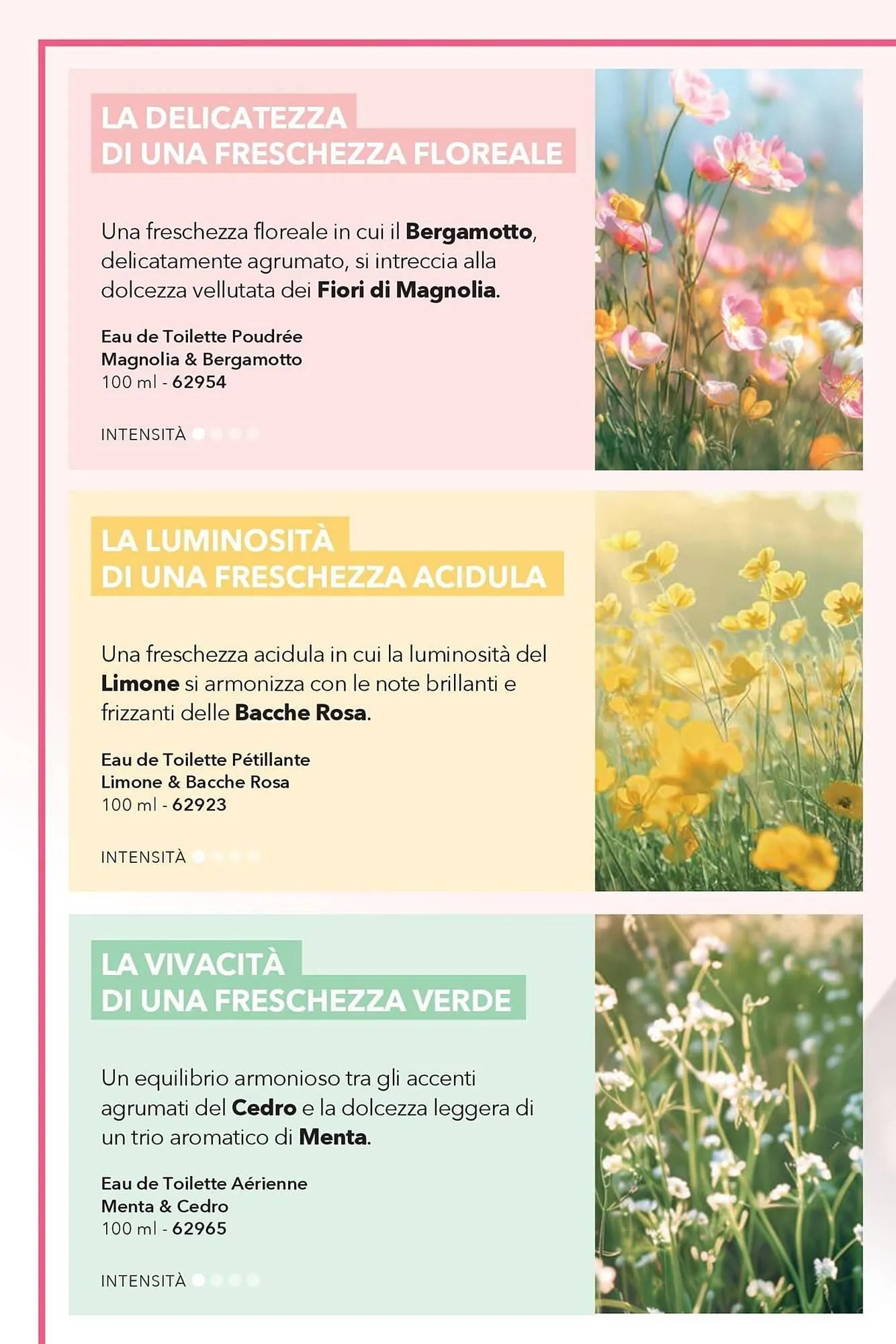 Catalogo Yves Rocher da 23 aprile a 11 maggio di 2026 - Pagina del volantino 8