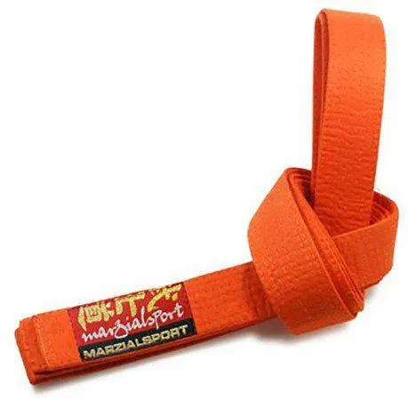 Cintura Arti marziali colorata