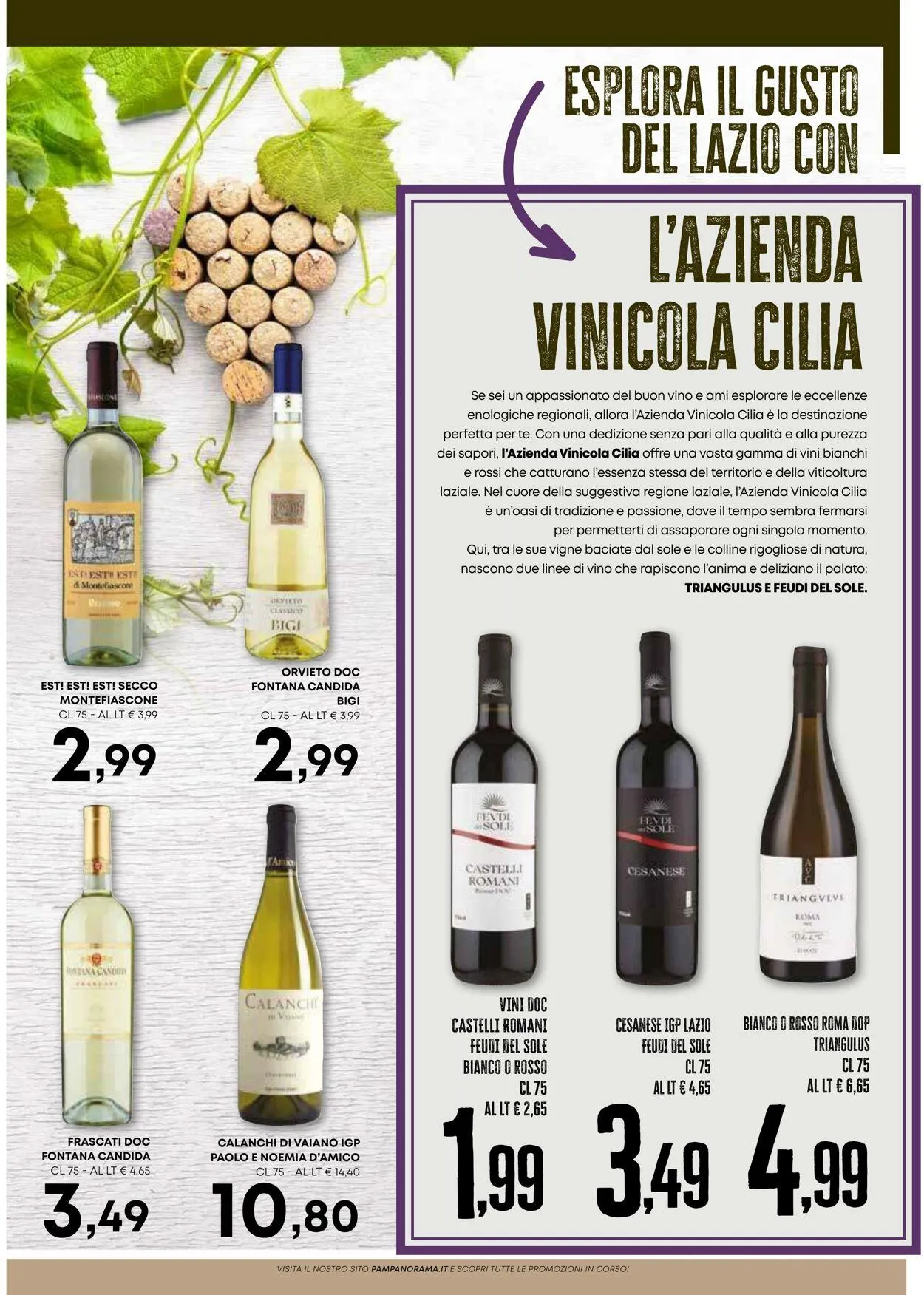 Pam Panorama Volantino attuale da 23 ottobre a 6 novembre di 2025 - Pagina del volantino 10