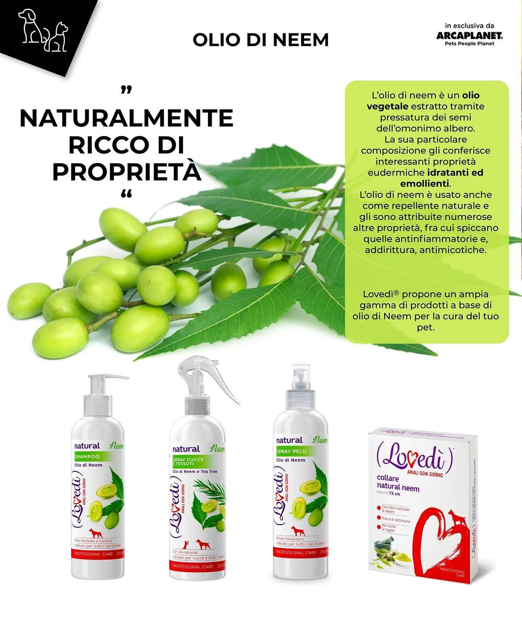 Volantino Arcaplanet da 25 marzo a 7 aprile di 2024 - Pagina del volantino 16