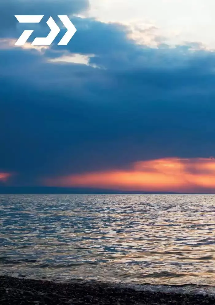 Catalogo 2025 da 4 febbraio a 31 dicembre di 2025 - Pagina del volantino 38