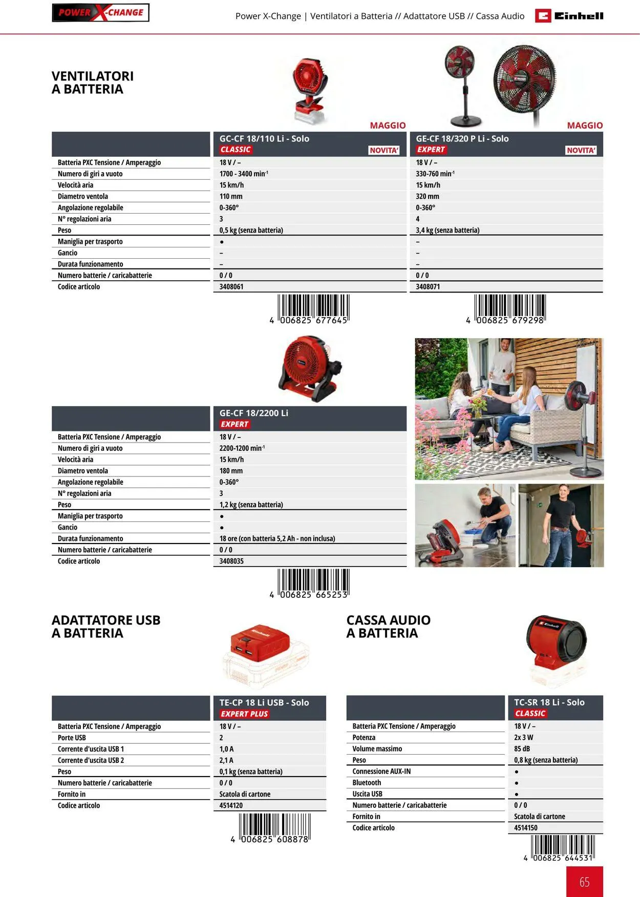 Einhell da 17 giugno a 17 dicembre di 2025 - Pagina del volantino 65