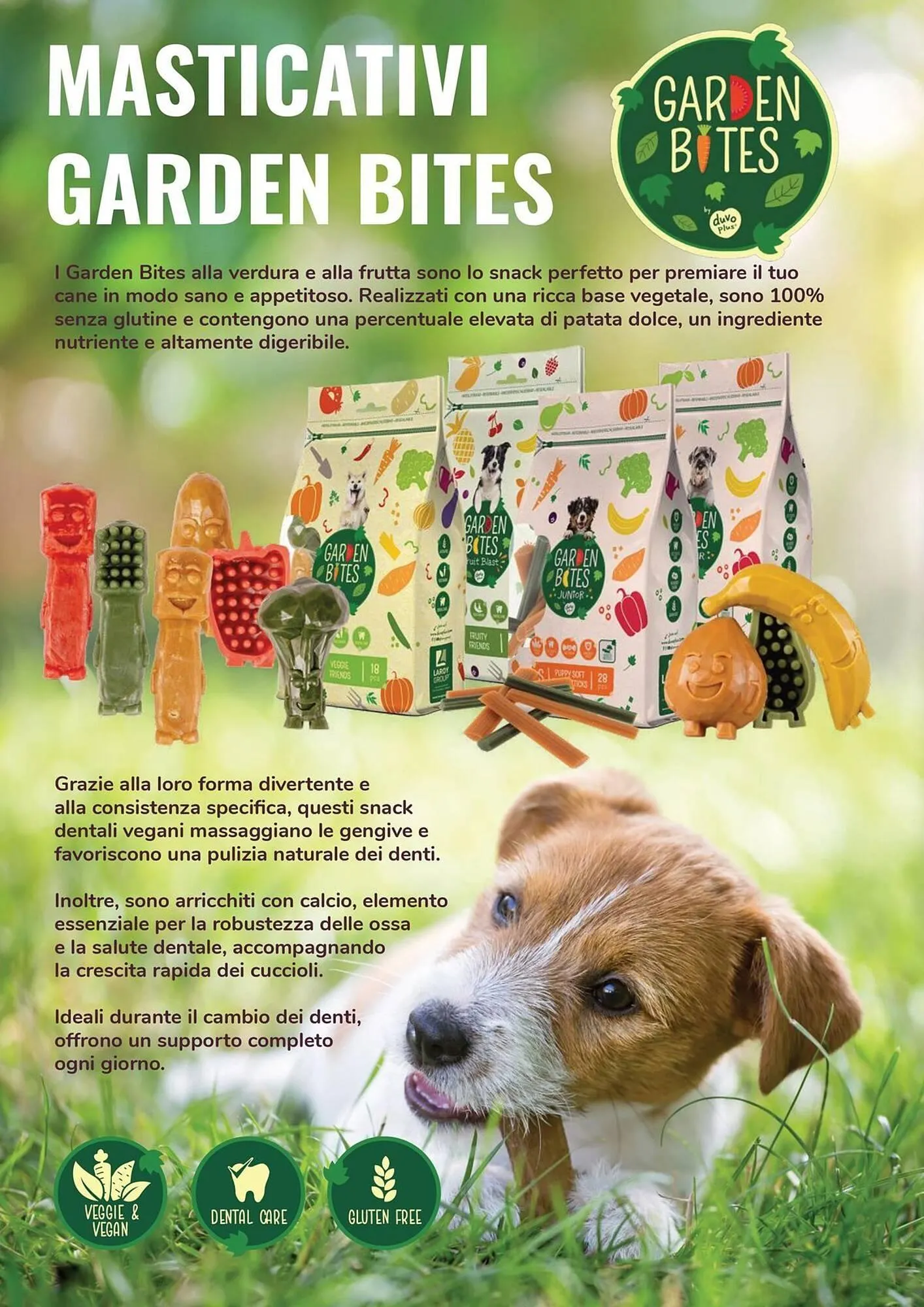 Volantino ZooPlanet da 9 febbraio a 1 marzo di 2026 - Pagina del volantino 6