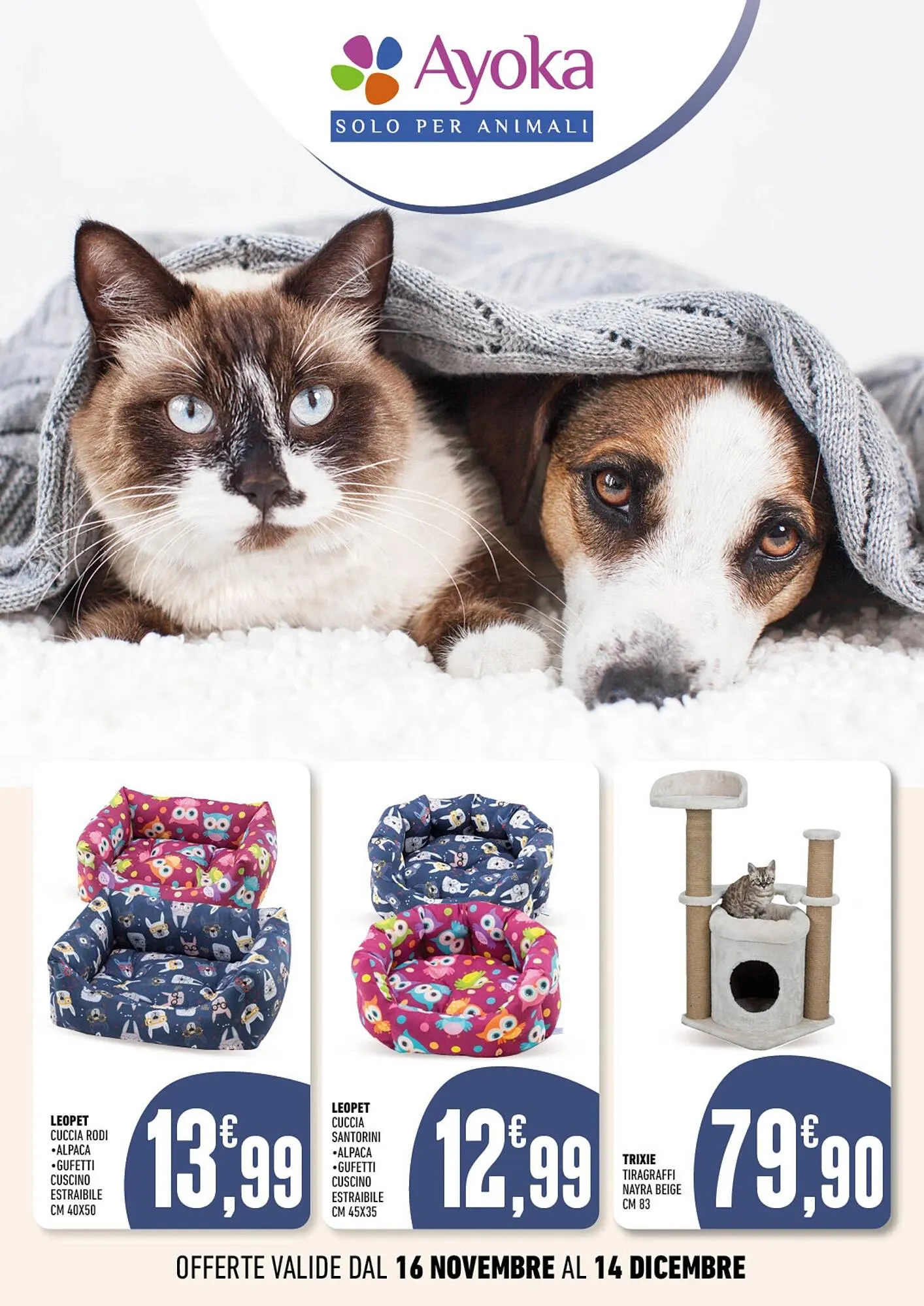 Volantino Ayoka da 16 novembre a 14 dicembre di 2023 - Pagina del volantino 1