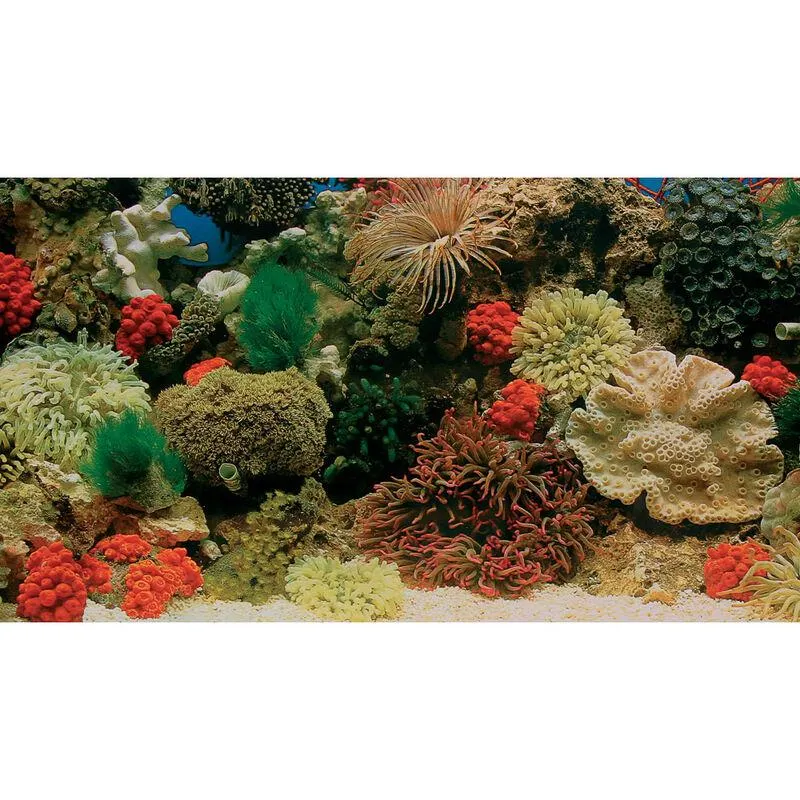 Trixie Carta decorativa dolce/marino a metro