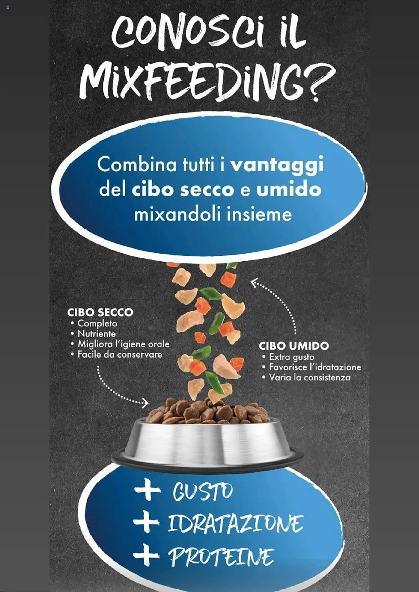 Volantino Arcaplanet da 27 gennaio a 9 febbraio di 2025 - Pagina del volantino 7