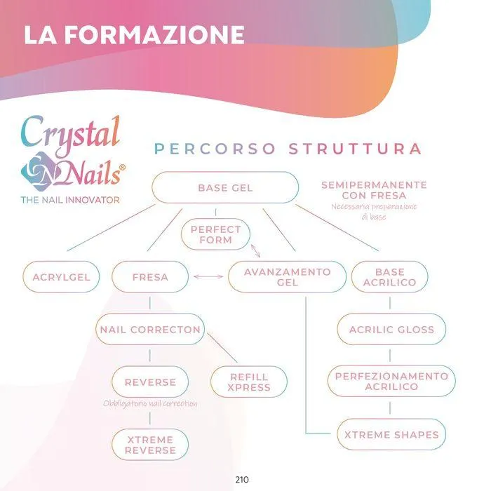 Catalogo 2024 da 3 luglio a 15 gennaio di 2025 - Pagina del volantino 210