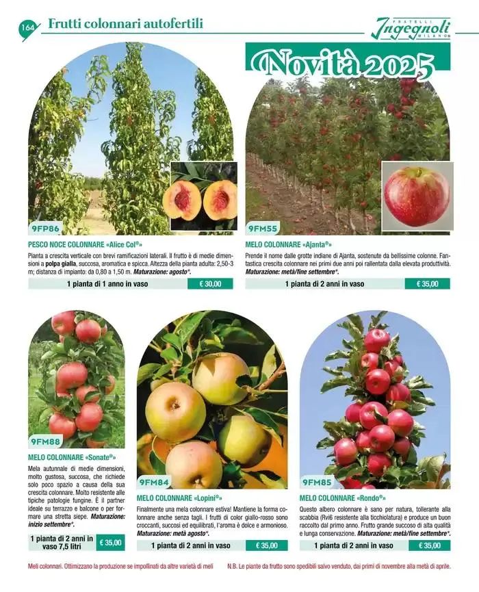 Catalogo guida 2025 da 20 gennaio a 31 dicembre di 2025 - Pagina del volantino 166