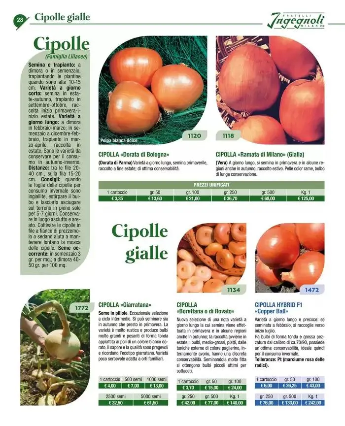 Catalogo guida 2025 da 20 gennaio a 31 dicembre di 2025 - Pagina del volantino 30