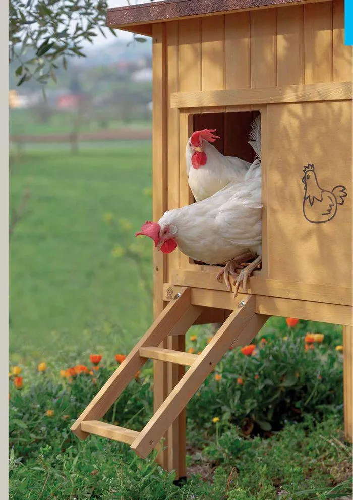 Small animals and birds da 6 maggio a 30 settembre di 2025 - Pagina del volantino 174