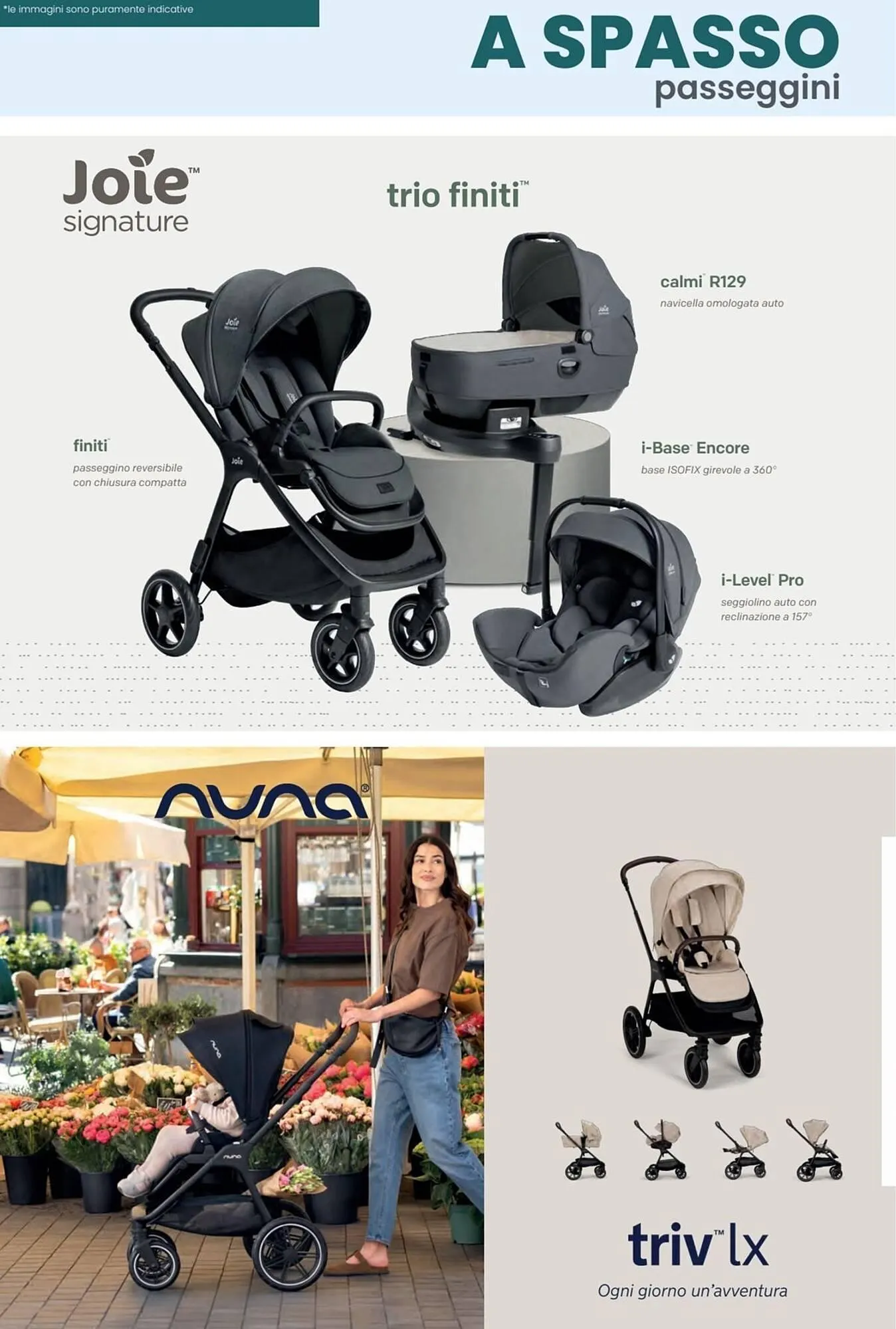 Volantino Paniate da 4 dicembre a 6 gennaio di 2026 - Pagina del volantino 12