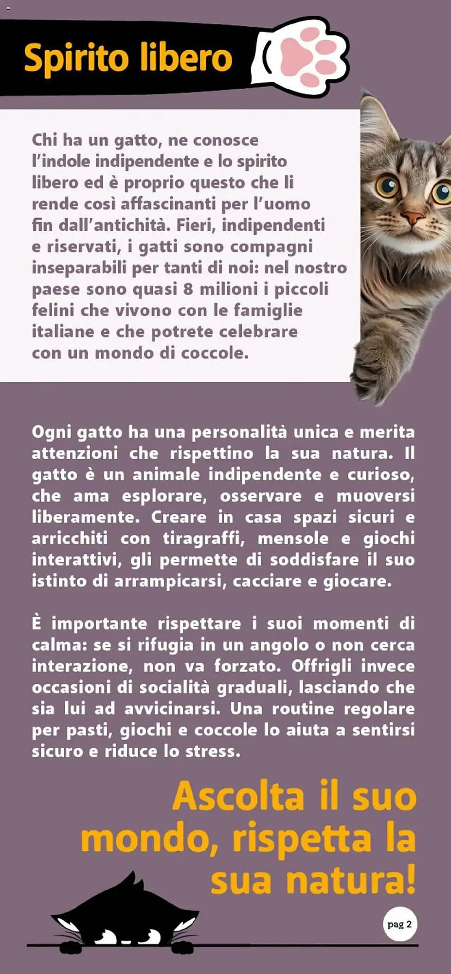 Volantino Supermercati Dok da 26 settembre a 11 ottobre di 2025 - Pagina del volantino 2