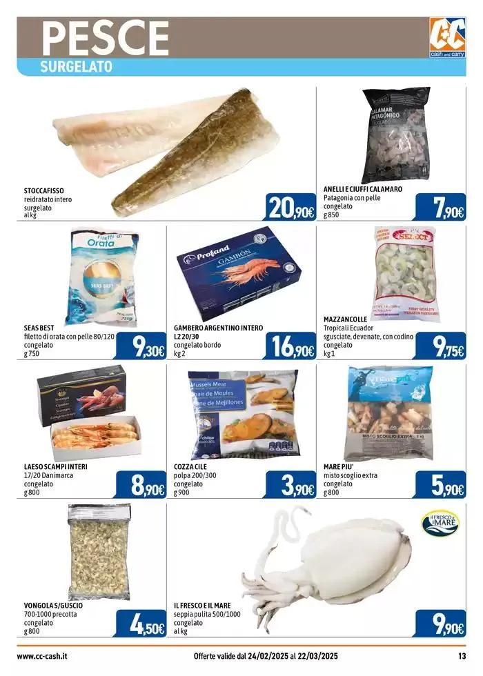 Professional da 25 febbraio a 22 marzo di 2025 - Pagina del volantino 13