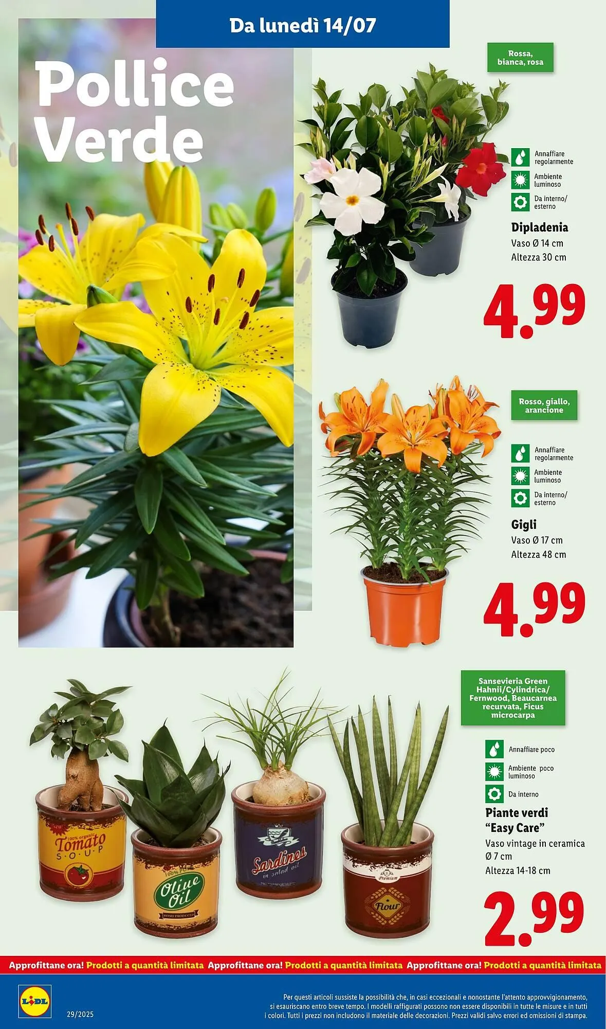 Volantino Lidl da 14 luglio a 20 luglio di 2025 - Pagina del volantino 36