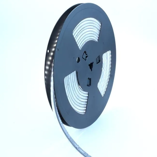 Striscia LED 220V-75W (15W/m)-12mm-120 LED SMD2835/m-Silicone IP67-Tagliabile ogni 10cm-5m-115lm/W-6000K Luce fredda