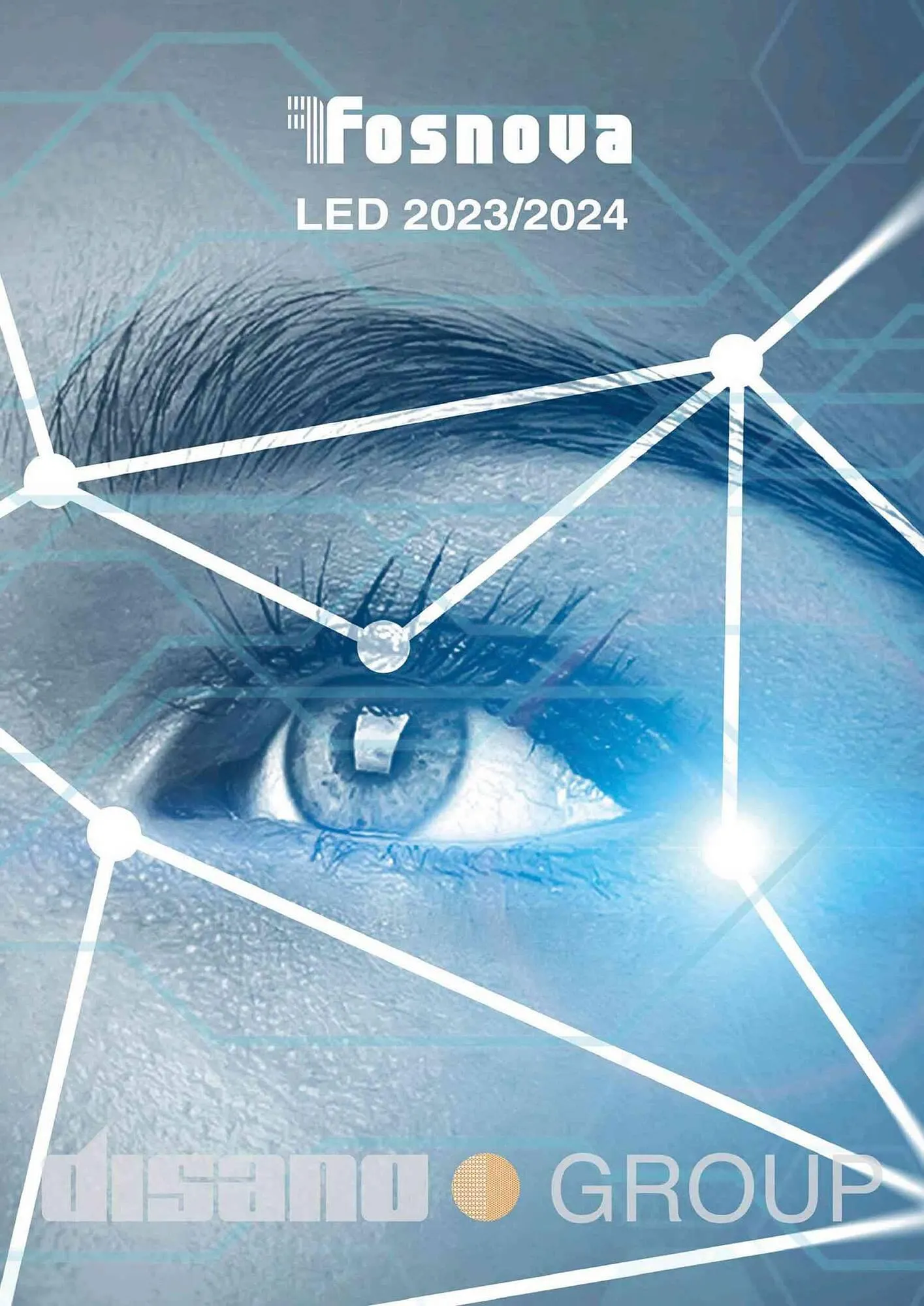 Volantino Disano da 12 giugno a 31 gennaio di 2024 - Pagina del volantino 