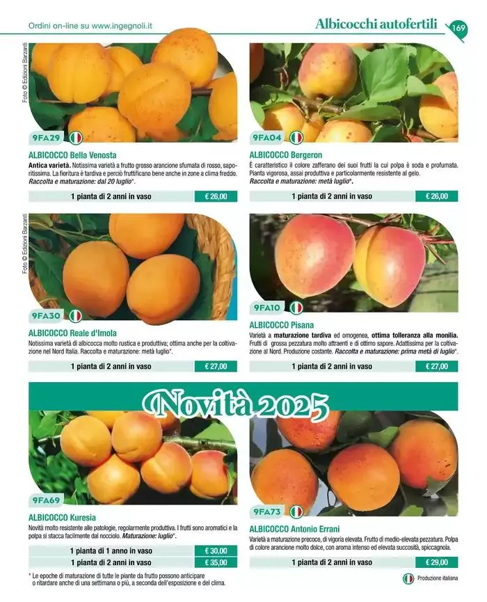 Catalogo guida 2025 da 20 gennaio a 31 dicembre di 2025 - Pagina del volantino 171