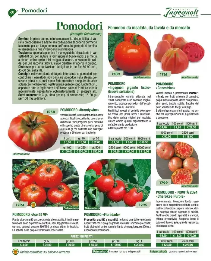 Novita 2025 da 4 novembre a 31 dicembre di 2025 - Pagina del volantino 59