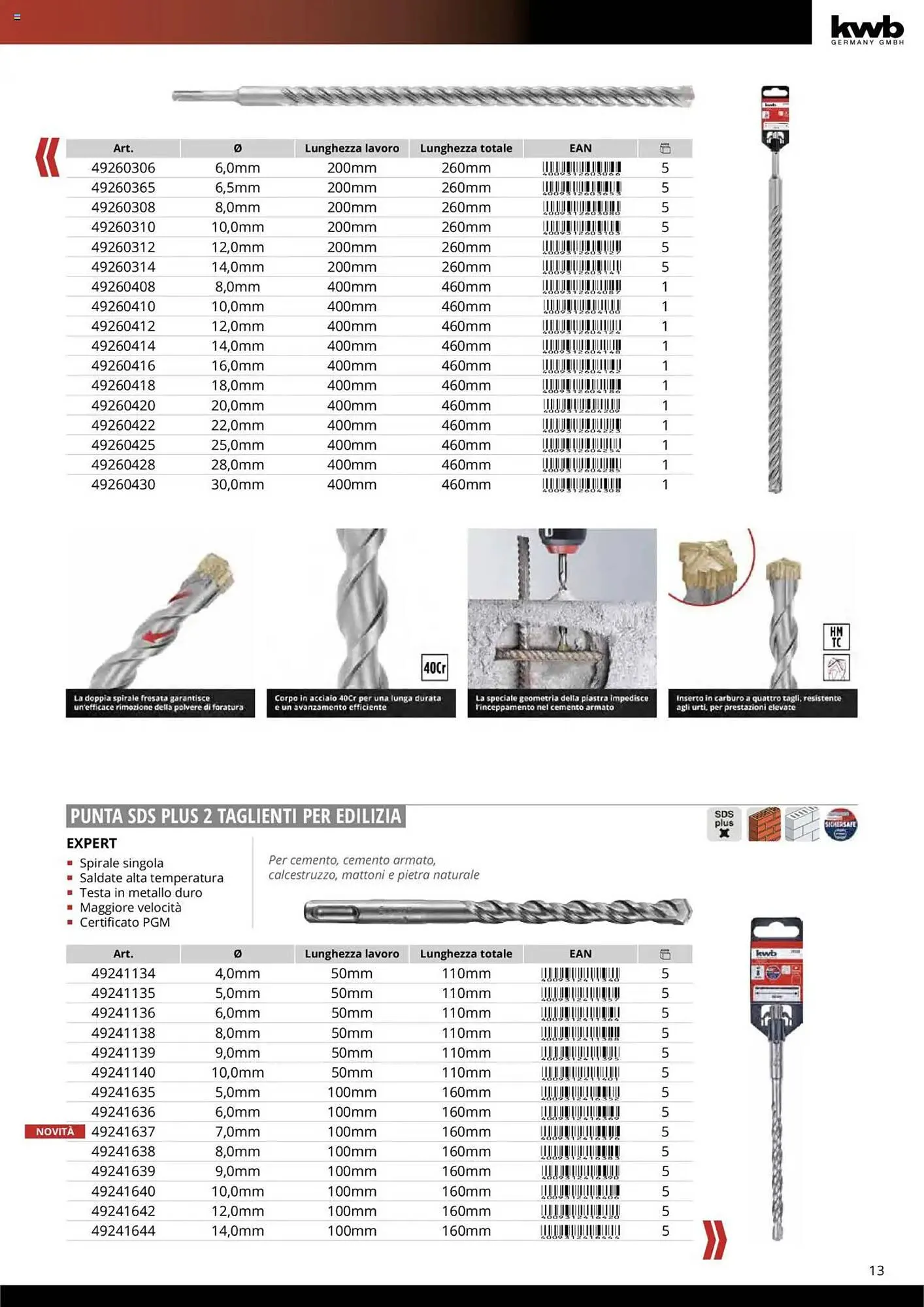 Volantino Einhell da 10 ottobre a 31 dicembre di 2025 - Pagina del volantino 15