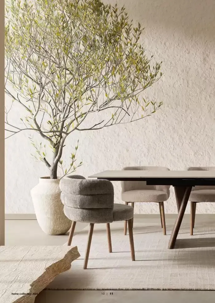 Home collection 2025 da 1 gennaio a 31 dicembre di 2025 - Pagina del volantino 12