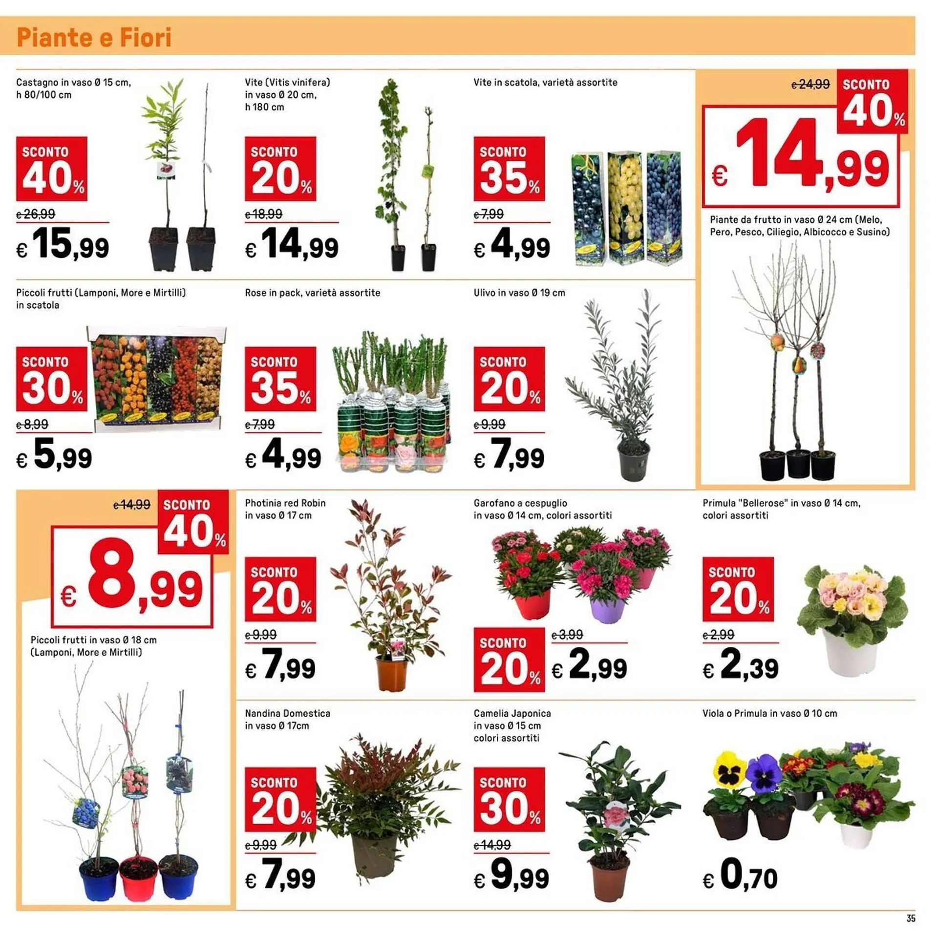 Volantino Iper La Grande da 30 gennaio a 9 febbraio di 2025 - Pagina del volantino 37