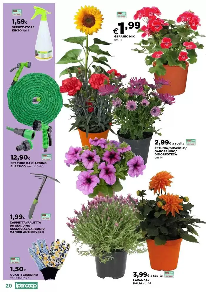 Catalogo Primavera da 10 aprile a 2 giugno di 2025 - Pagina del volantino 20