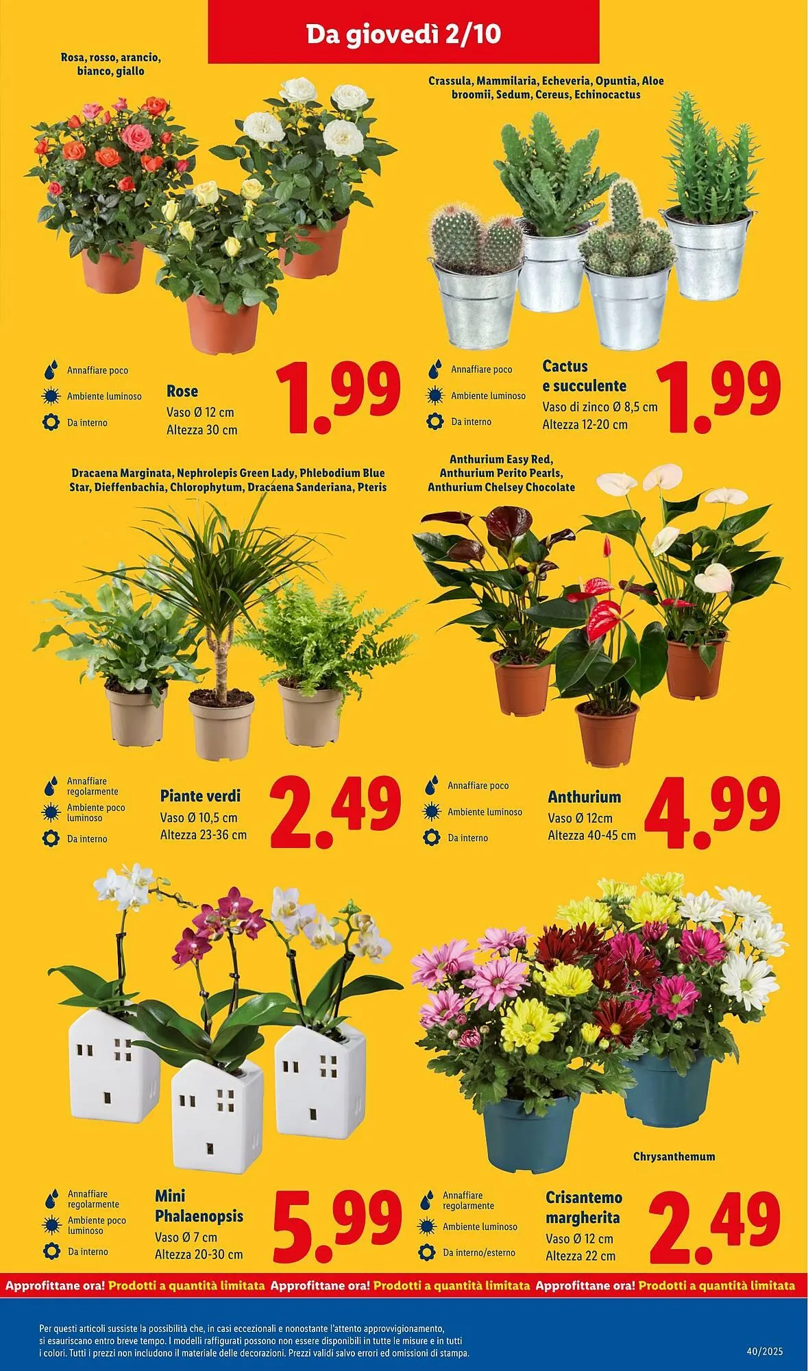 Volantino Lidl da 29 settembre a 5 ottobre di 2025 - Pagina del volantino 31