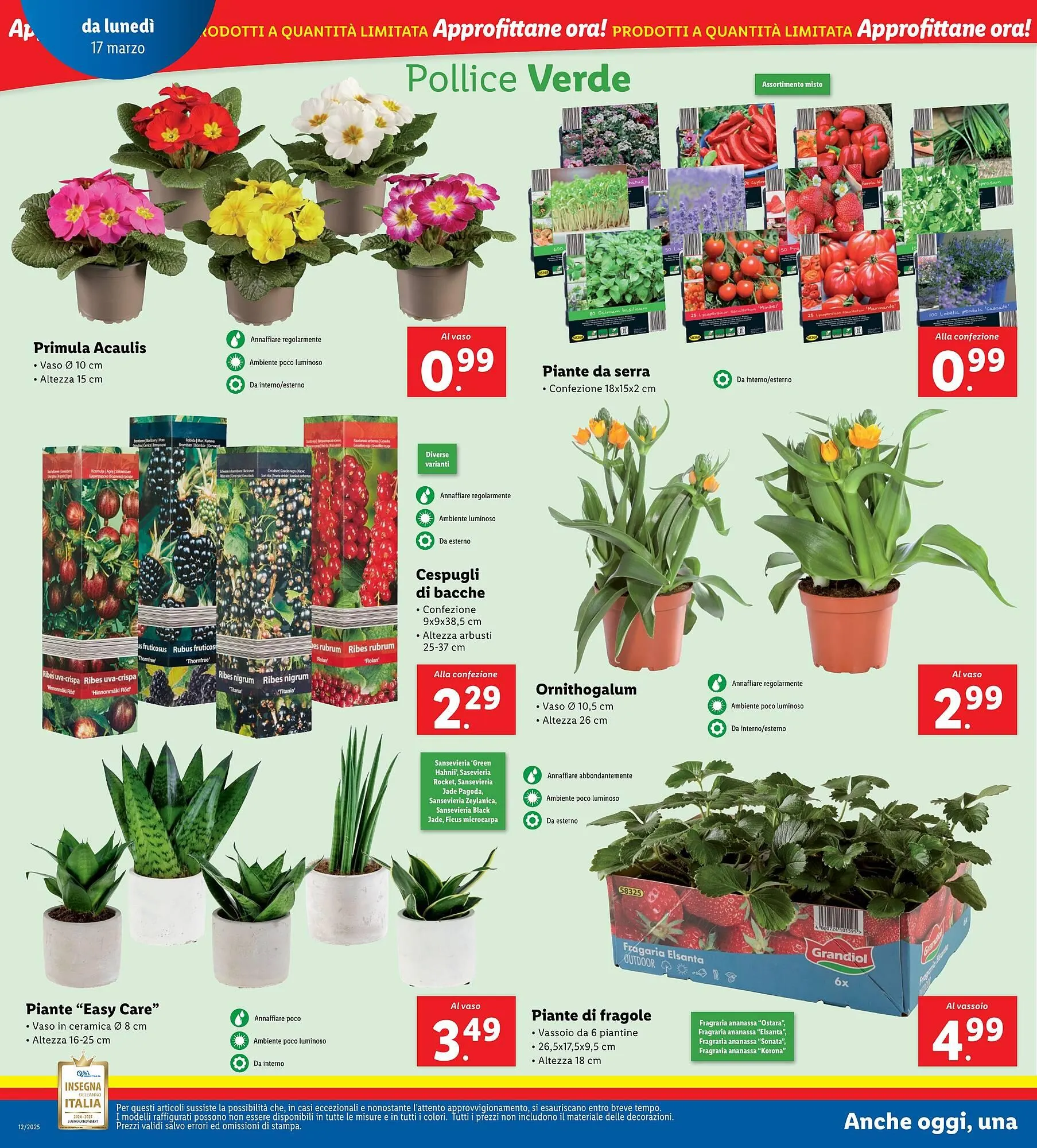 Volantino Lidl da 17 marzo a 23 marzo di 2025 - Pagina del volantino 28