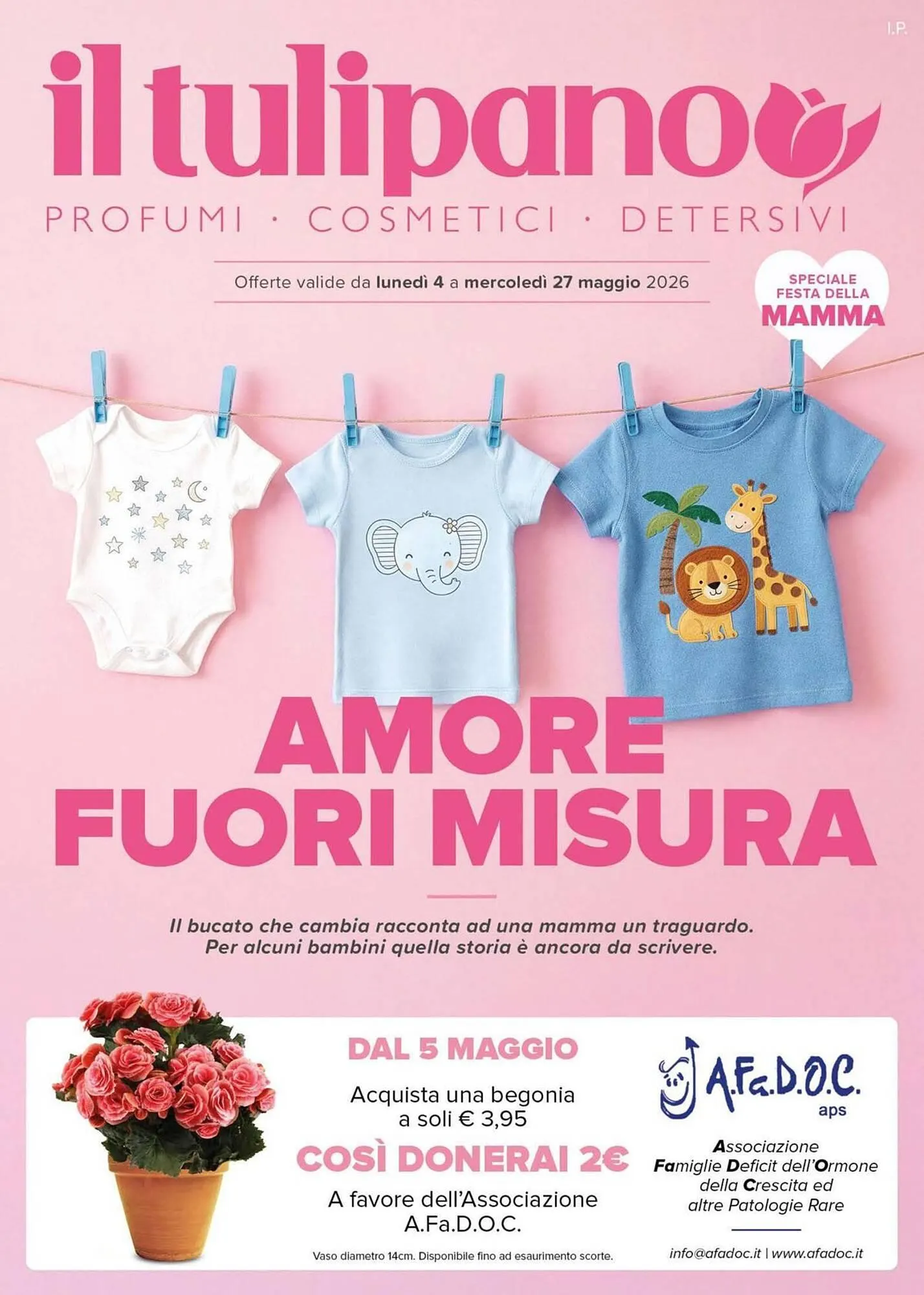 Volantino Il Tulipano da 4 maggio a 27 maggio di 2026 - Pagina del volantino 1