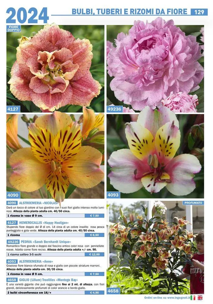 Bulbi Tuberi Rizomi da fiore da 25 marzo a 31 dicembre di 2024 - Pagina del volantino 3