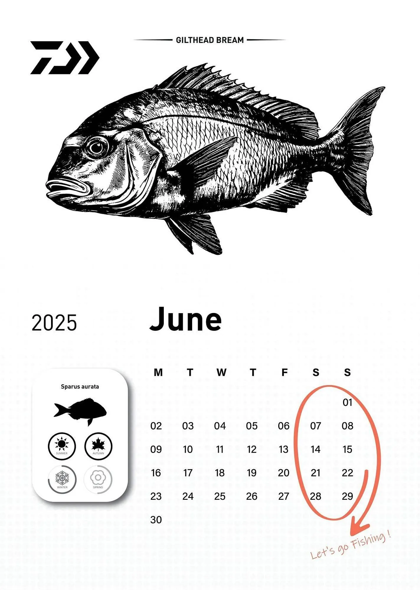 Volantino Daiwa da 6 dicembre a 31 dicembre di 2025 - Pagina del volantino 7