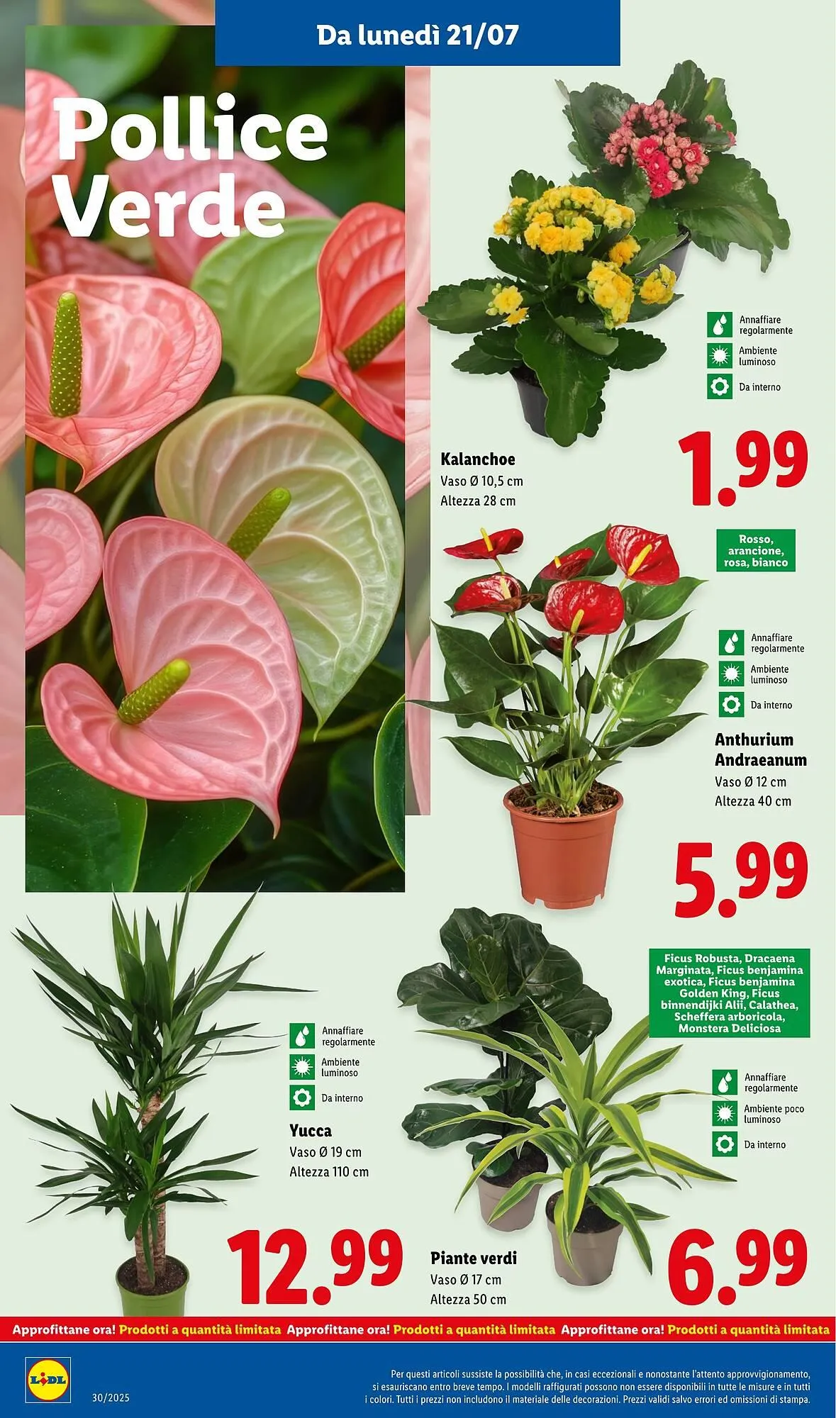 Volantino Lidl da 21 luglio a 27 luglio di 2025 - Pagina del volantino 30
