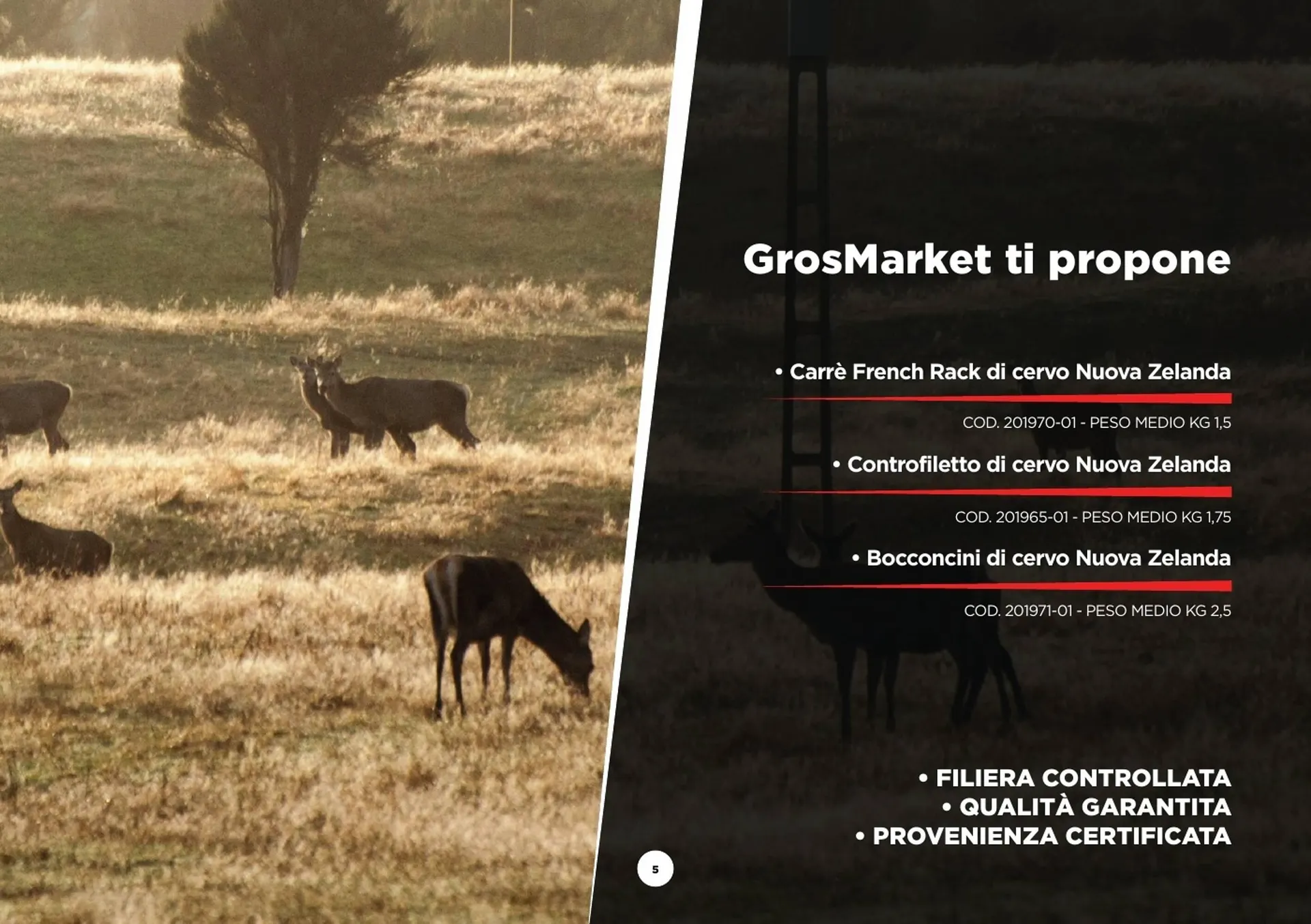 Volantino GrosMarket da 28 agosto a 30 marzo di 2025 - Pagina del volantino 5