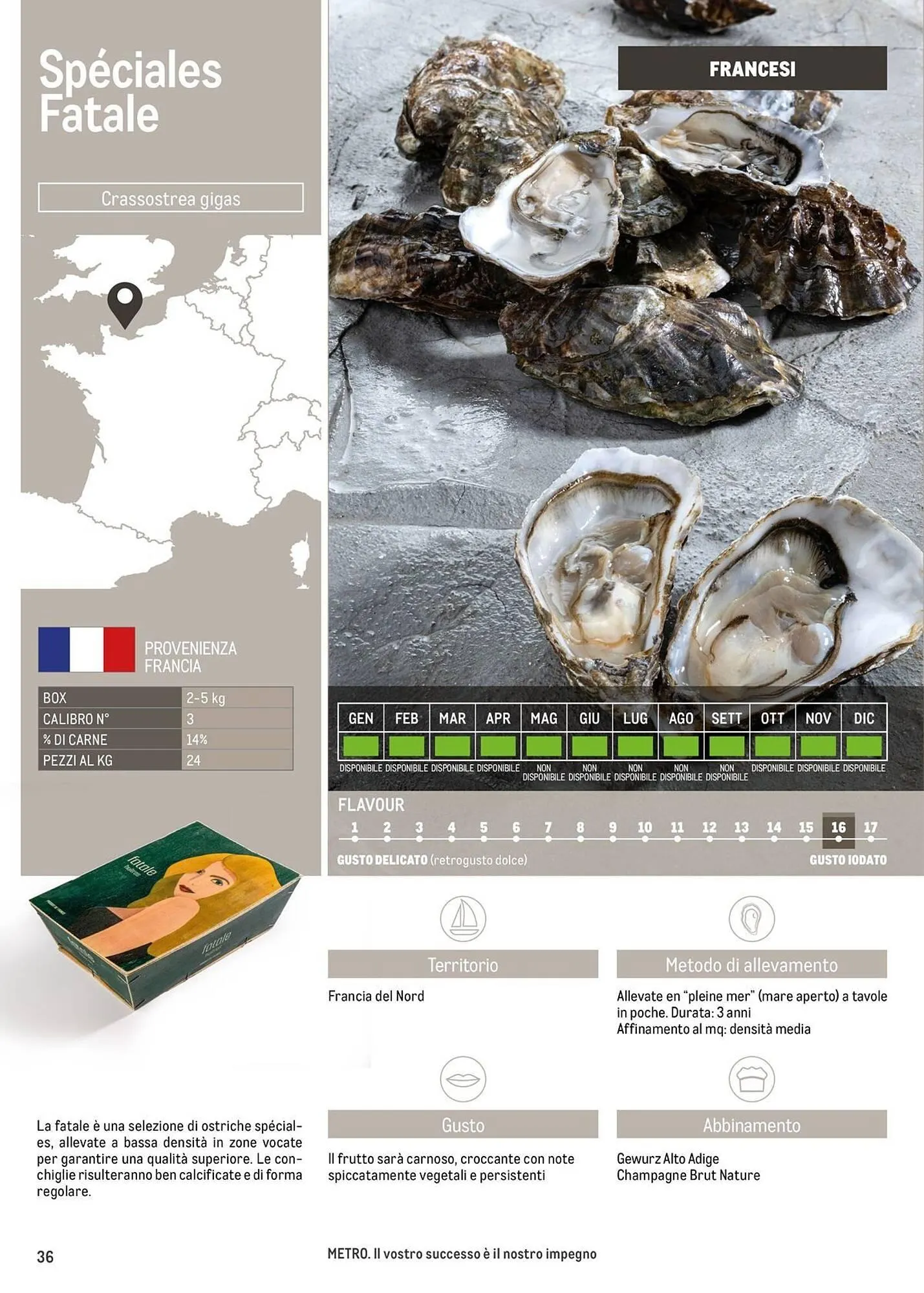 Volantino Metro da 16 giugno a 30 giugno di 2026 - Pagina del volantino 36