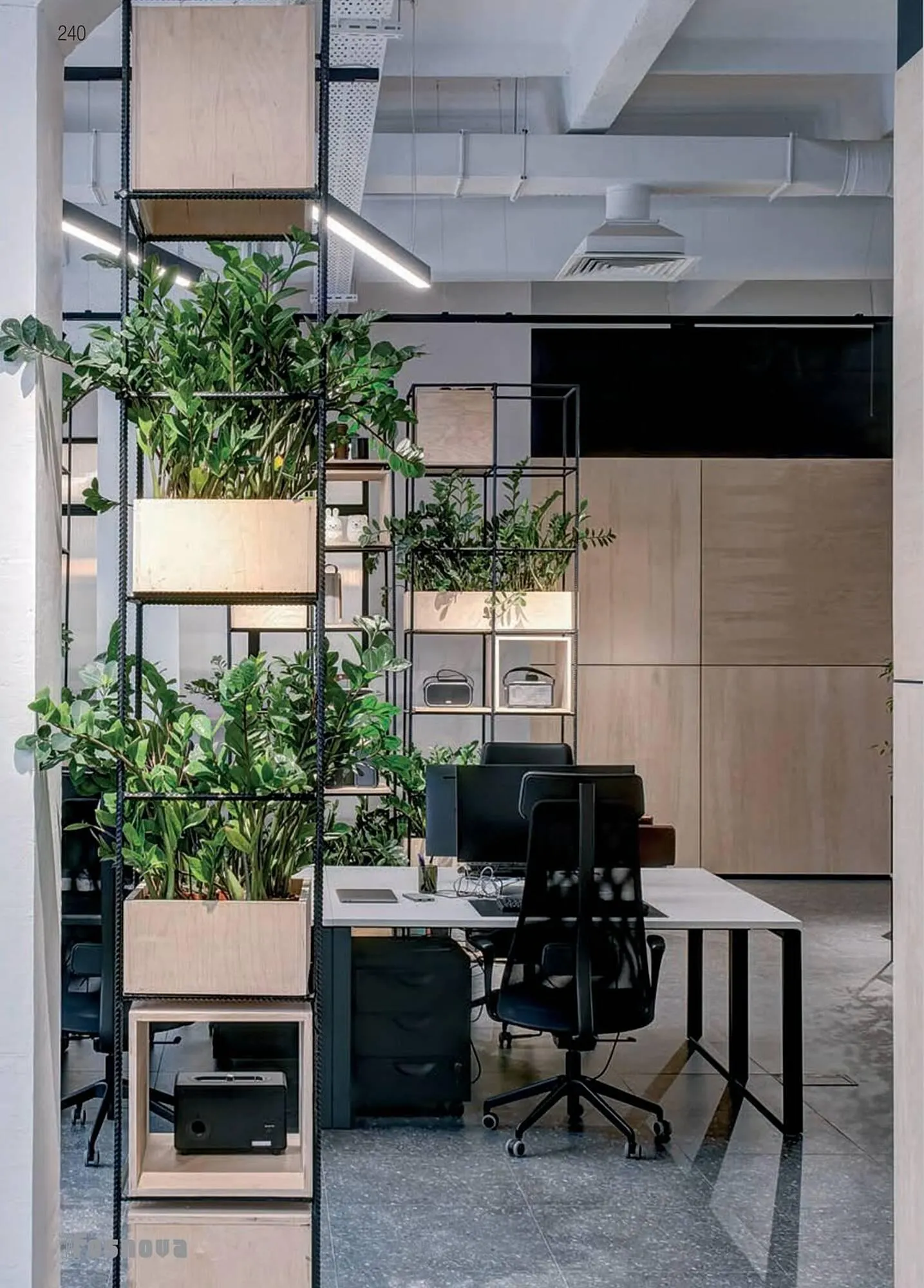 Volantino Disano da 16 gennaio a 31 ottobre di 2025 - Pagina del volantino 241