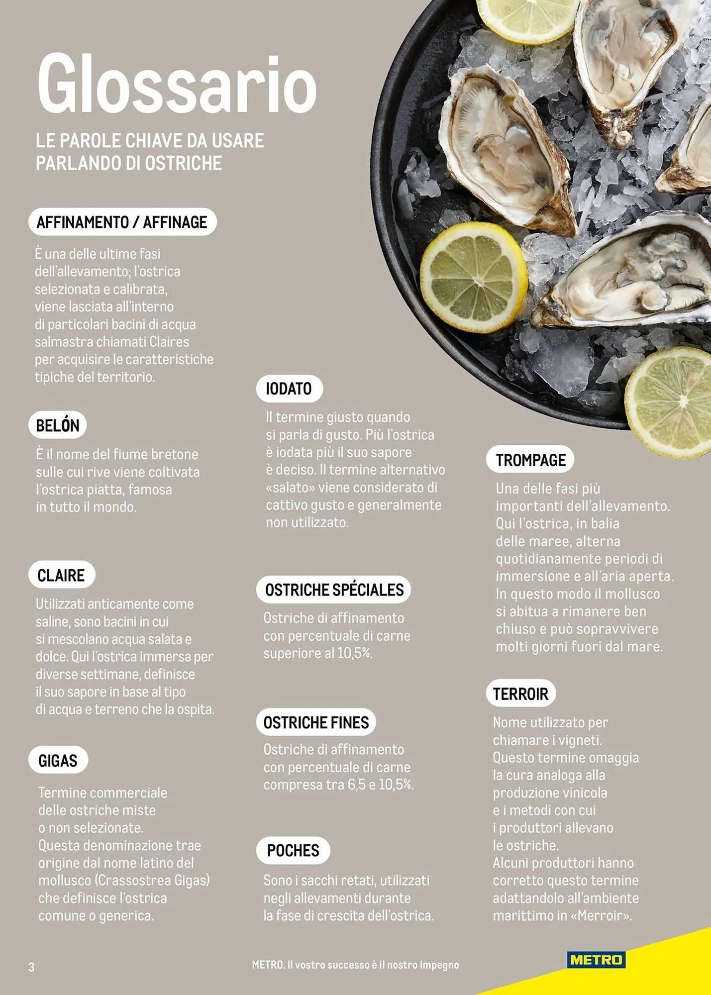 Volantino Metro da 16 giugno a 30 giugno di 2026 - Pagina del volantino 3