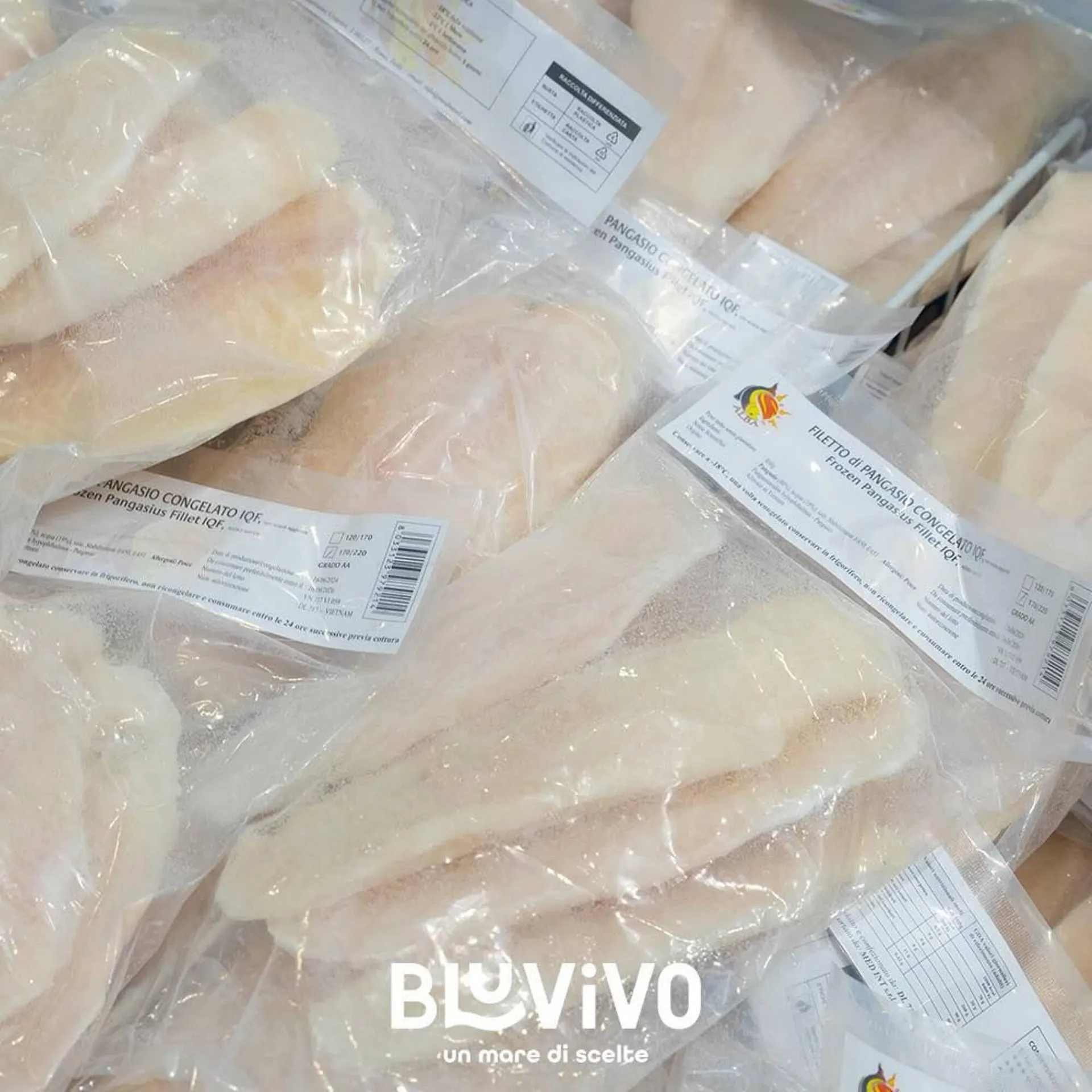 Volantino Oceano Surgelati da 8 gennaio a 19 gennaio di 2025 - Pagina del volantino 8